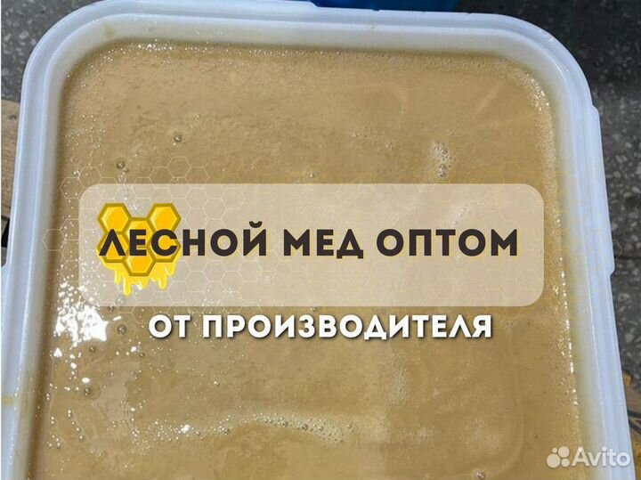 Свежий мёд лесной Качка 2023 опт