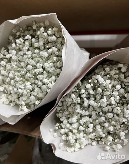 Гипсофила оптом розница букет