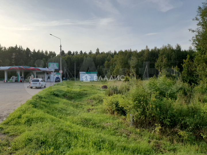 Участок 13 га (личное подсобное хозяйство (лпх))