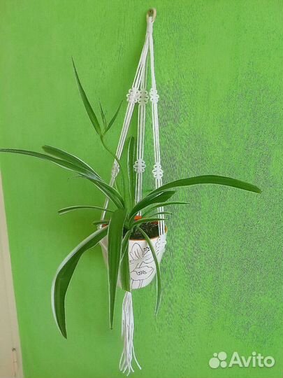 Кашпо подвесное макраме для цветов - 8 вариантов