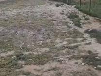 федеральные телеканалы. включи канал 6 5. интернет тв каналы. российские каналы. известия 5 канал.