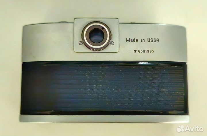 Narciss экспортный, редкость. Нарцисс раритет