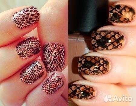 Выползок змеи