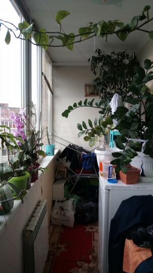 2-к. квартира, 79,1 м², 5/12 эт.