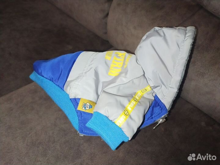 Одежда для собак мелких пород