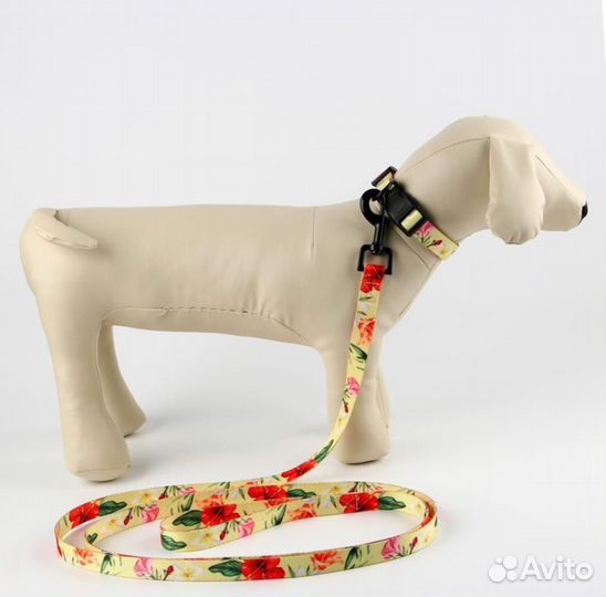 Комплект аммуниции для собак, поводок+ошейник