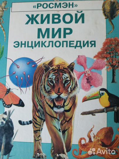 Энциклопедия для детей