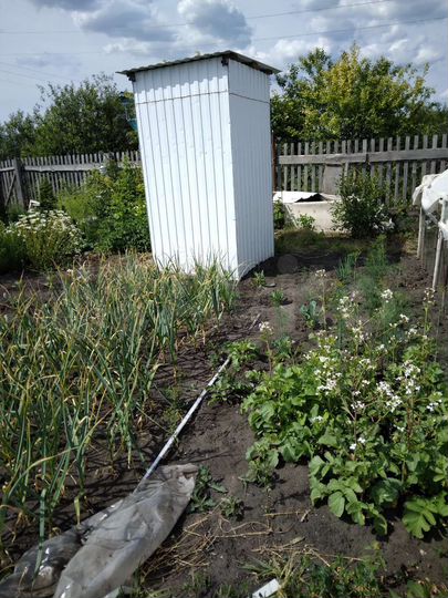 Дом 30 м² на участке 6 сот.