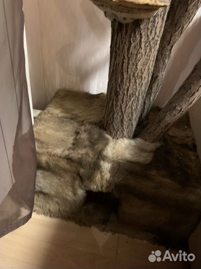 Дерево для кошек, домик и когтеточка