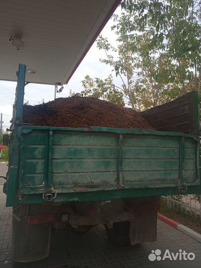 Конский навоз, Коровий