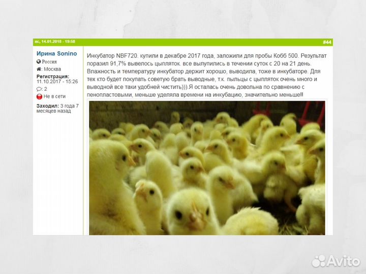 Брудер на 140 цыплят