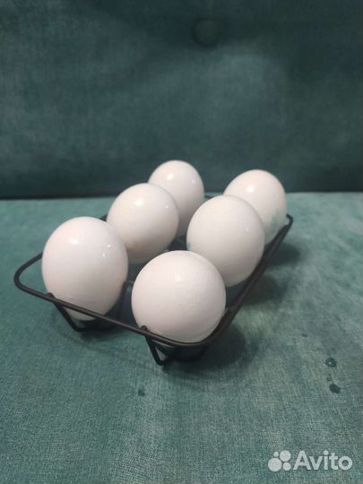 Подставка для яиц