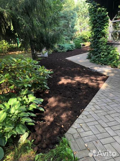 Рулонный газон «Дачный»