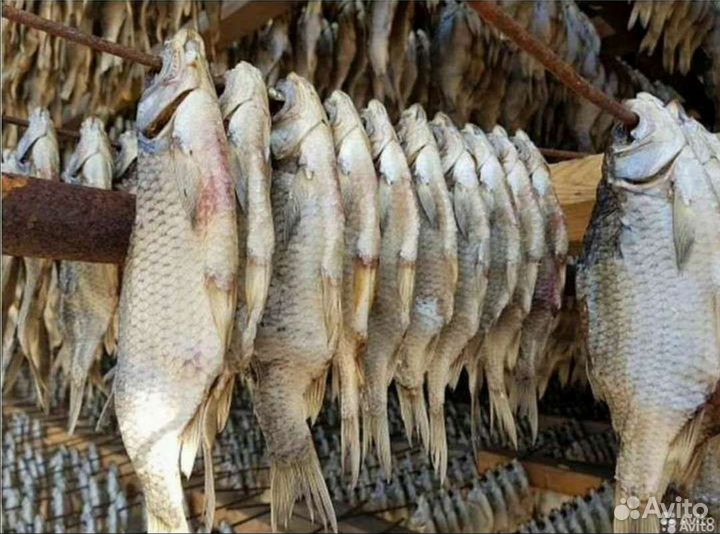 Вобла Астраханская