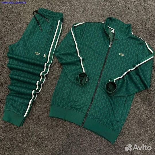 Спортивный костюм lacoste (Арт.85659)