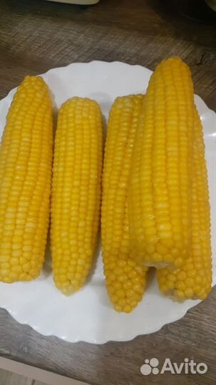 Сладкая кукуруза