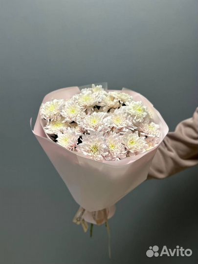 Хризантемы. Букет из хризантемы