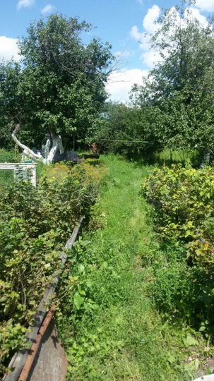 Дом 60 м² на участке 25 сот.