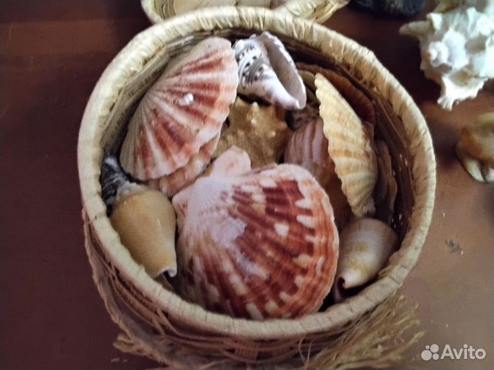 Набор и ракушки для аквариума