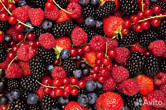 Варенье медвежий сбор 36