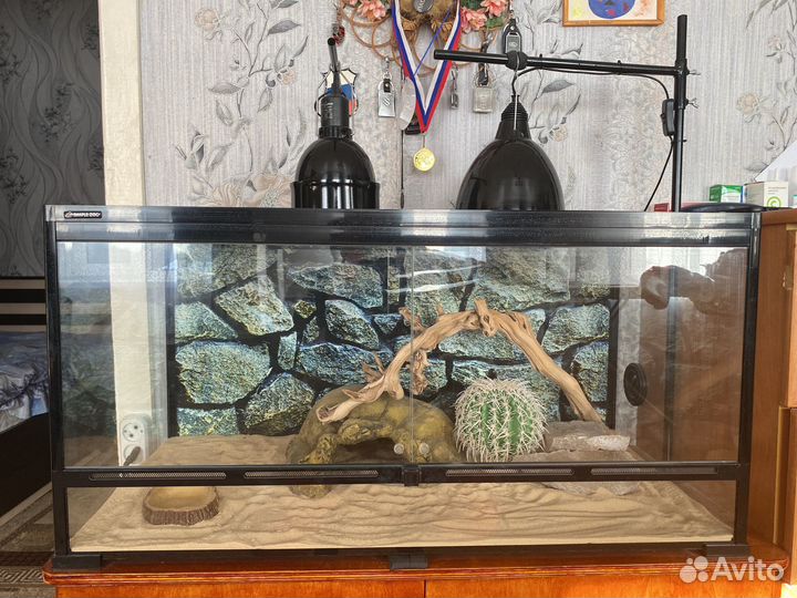 Террариум для рептилий