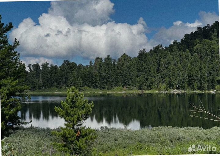 Турпоездка Алтай лето экскурсия до 7-ми дн