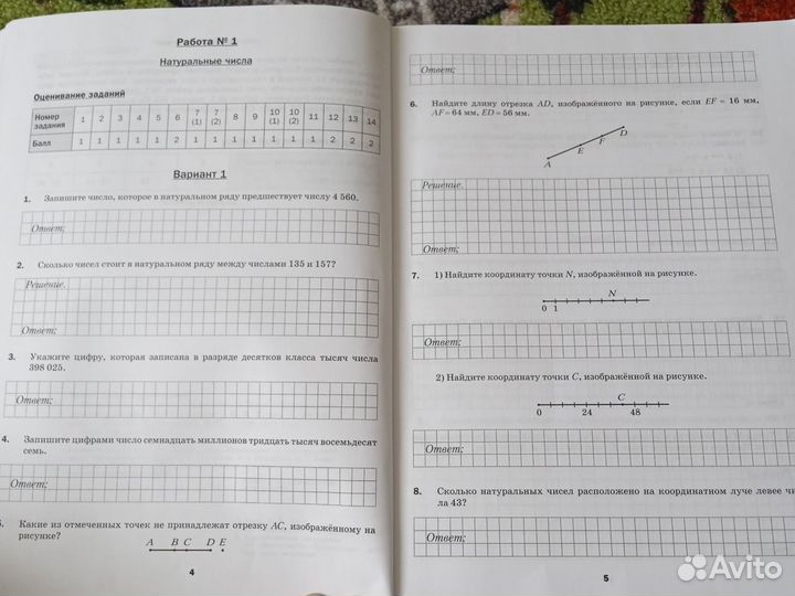 Книга для подготовки к ВПР по математике 5 класс