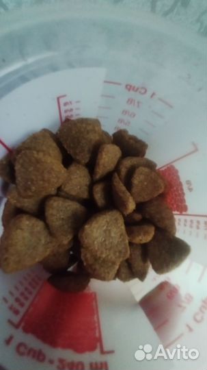 Корм для собак premil maxi basic