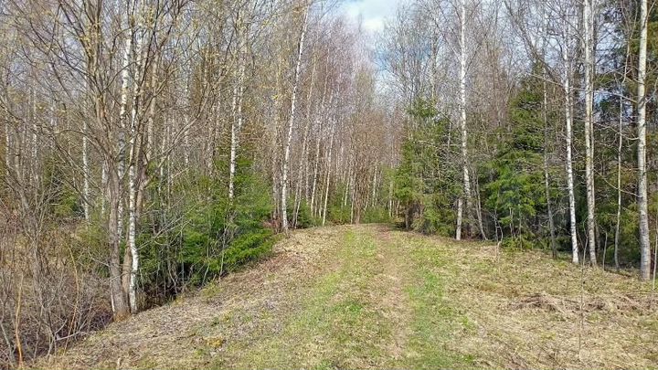 Участок 24 сот. (СНТ, ДНП)