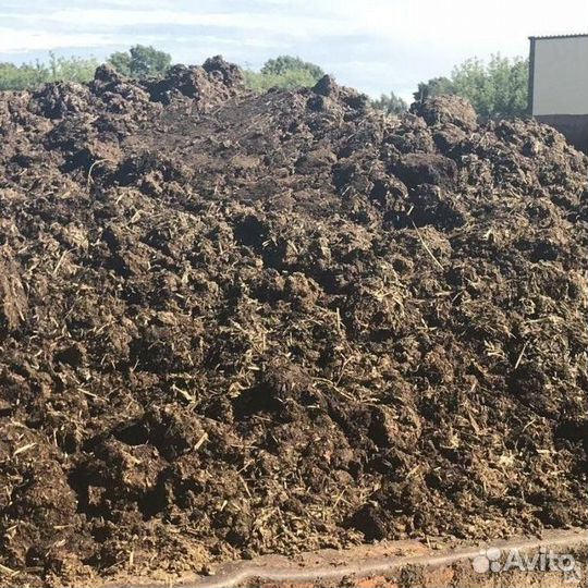 Продаю перегной навоз каровы