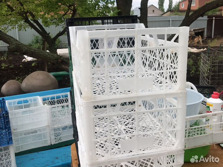Ящики пластмассовые