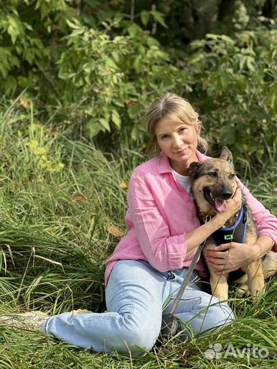 Самая лучшая собака из приюта ищет дом