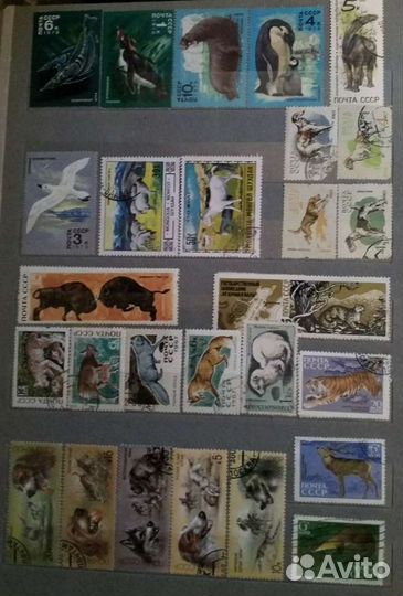 Марки фауна, обновление 08.02