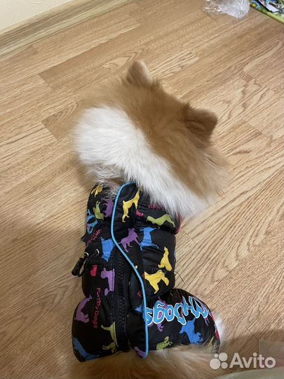 Комбинезон для маленькой собаки