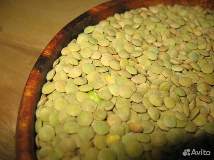 Чечевица зеленая