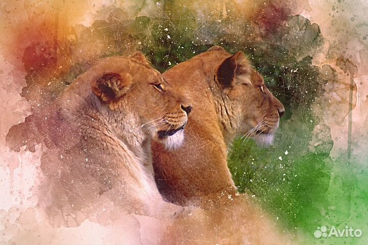 Макеты/Шаблоны для печати на футболках и кружках