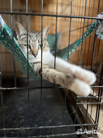 Почему меня никто не замечает