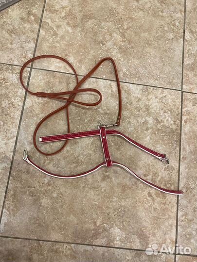 Шлейка и поводок для собаки/кошки