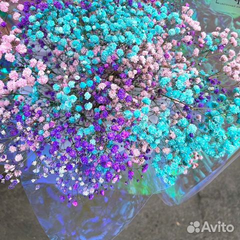 Букет живых цветов: гипсофила, яркие цветы