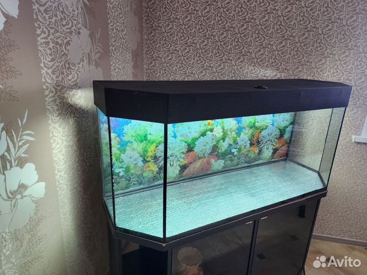Аквариум 250л