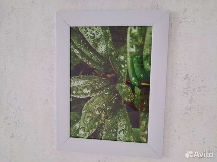 Картины и постеры