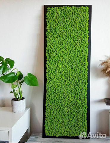 Фито картины