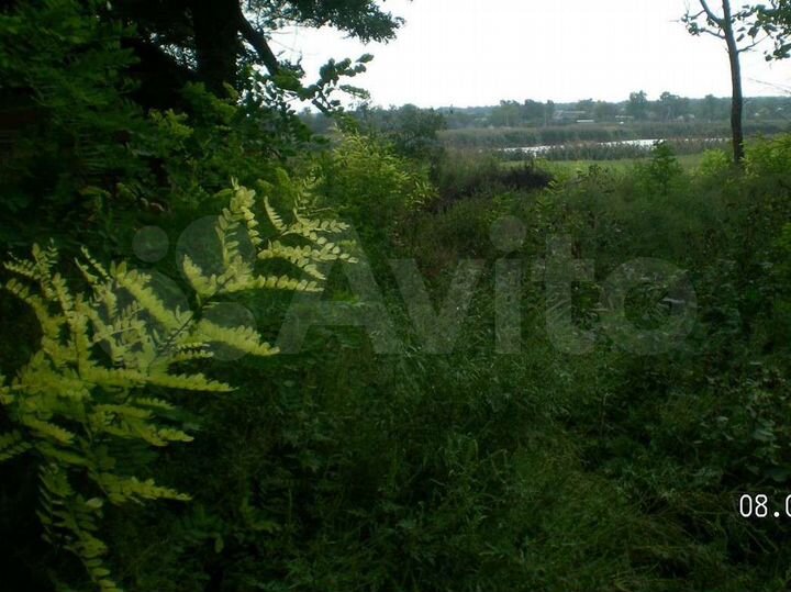 Участок 31 сот. (СНТ, ДНП)