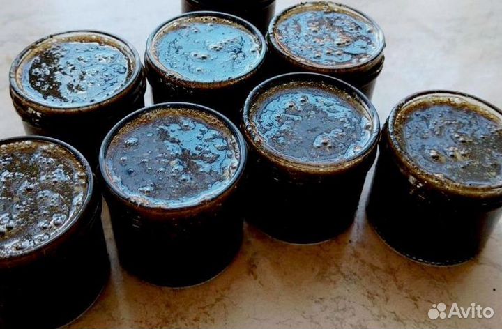 Биоактиватор потенции на меду