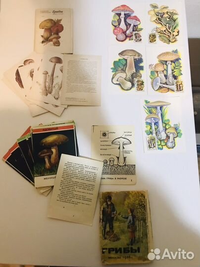 Разные открытки и календарики