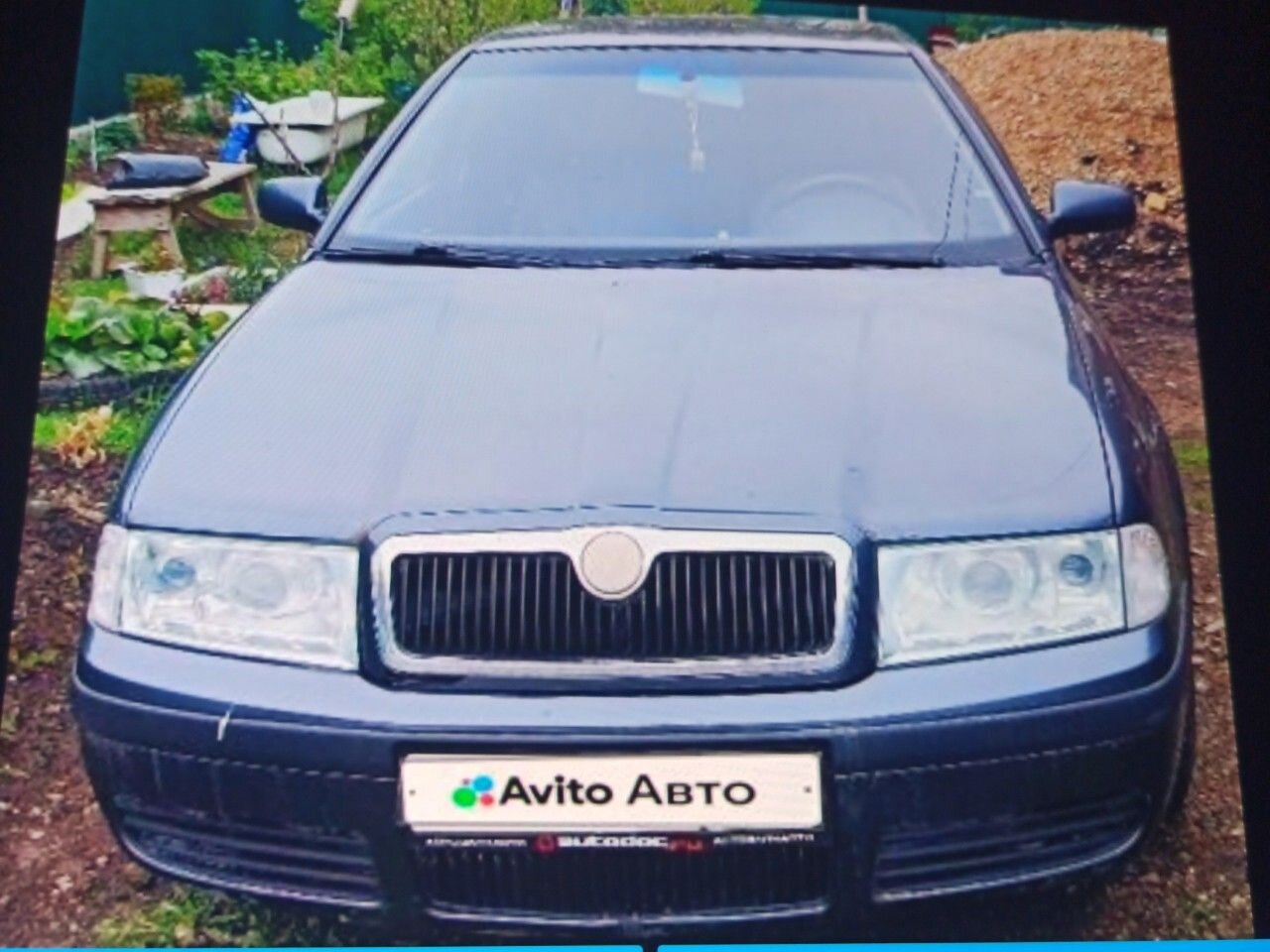 Skoda Octavia: фото владельца