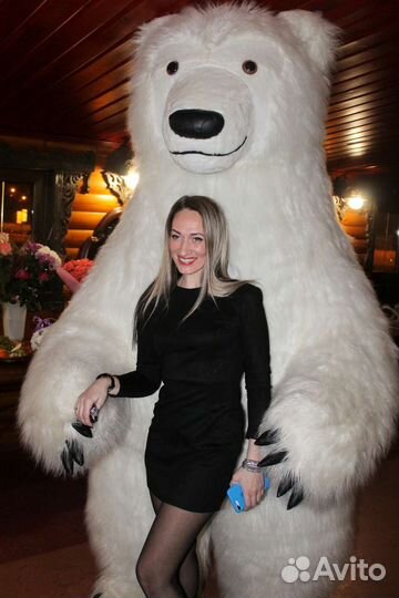 Поздравление от белого мишки Большой белый медведь