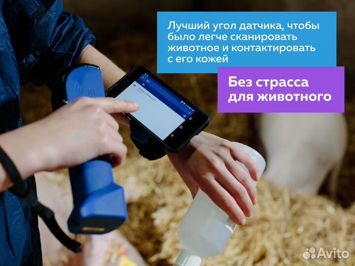 Определение беременности у коз. Выезд