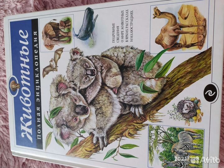 Энциклопедии