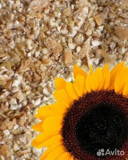 Шрот (жмых) подсолнечника